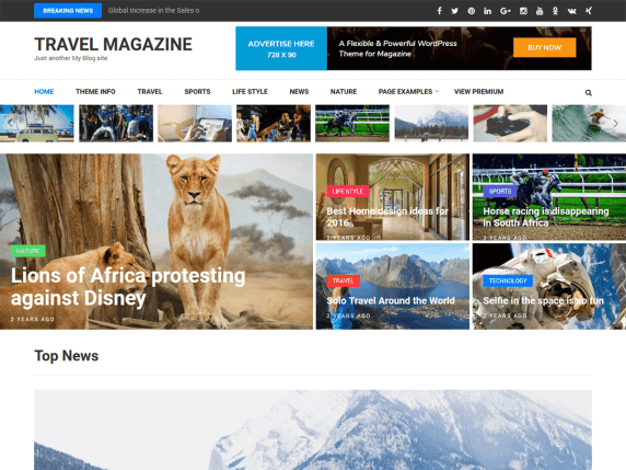 Blog website design - standard